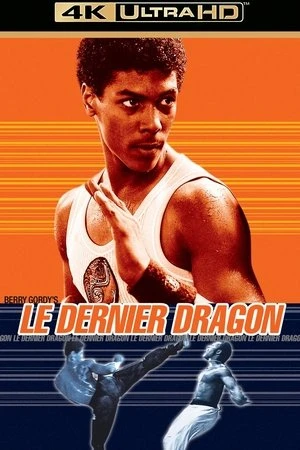 Regarder Le Dernier Dragon en streaming complet