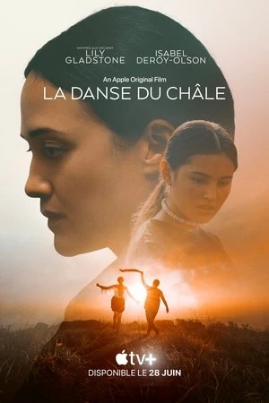 Regarder Fancy Dance en streaming complet