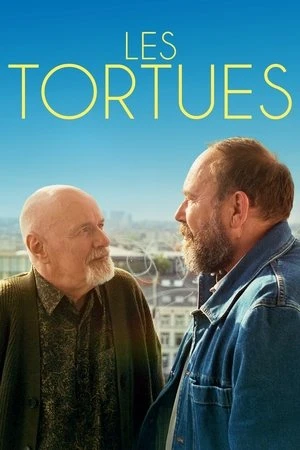 Regarder Les tortues en streaming complet