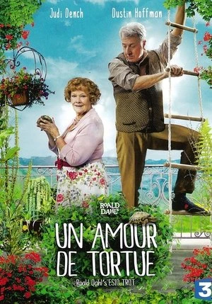 Regarder Un amour de tortue en streaming complet
