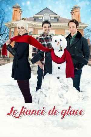 Regarder Le fiancé de glace en streaming complet