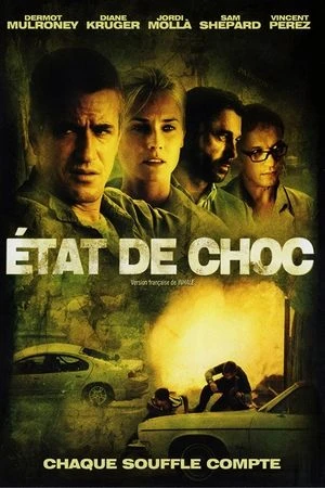 Regarder État de choc en streaming complet
