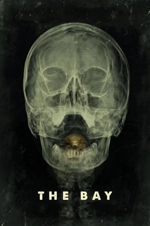 Regarder The Bay en streaming complet