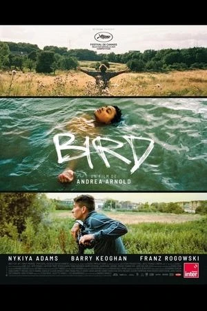 Regarder Bird en streaming complet