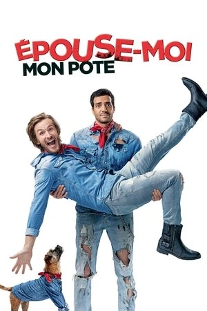 Regarder Épouse-moi mon pote en streaming complet
