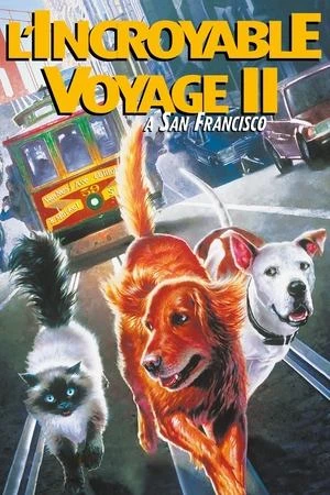 Regarder L'incroyable voyage II : À San Francisco en streaming complet