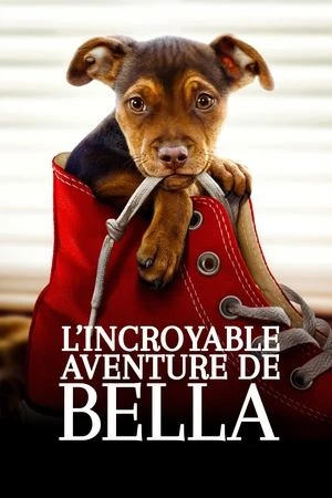 Regarder L'Incroyable Aventure de Bella en streaming complet