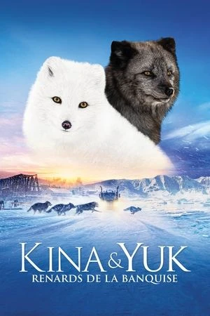 Regarder Kina & Yuk : Renards de la banquise en streaming complet