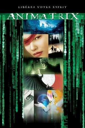  Animatrix affiche 