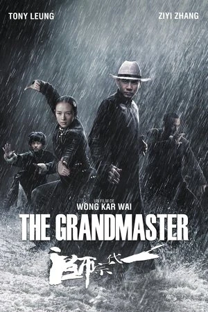 Regarder The Grandmaster en streaming complet