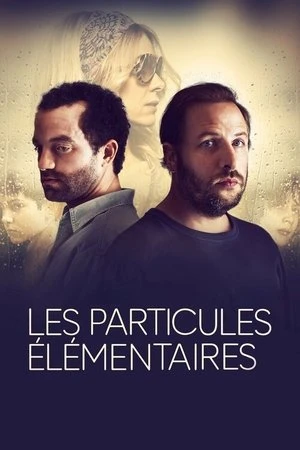  Les particules élémentaires affiche 