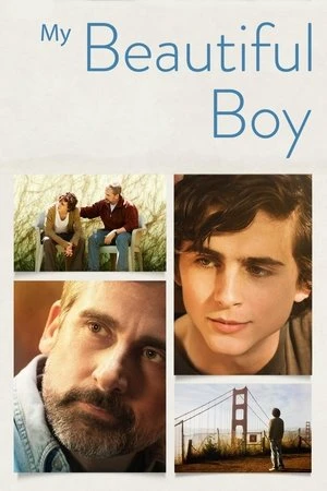 Regarder My Beautiful Boy en streaming complet