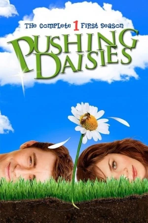  Pushing Daisies - Saison 1 affiche 