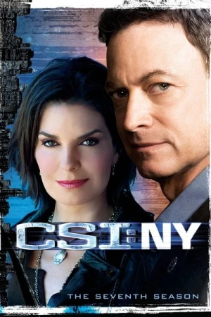  Les Experts : Manhattan - Saison 7 affiche 