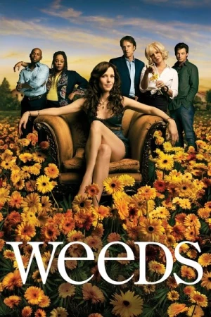  Weeds - Saison 2 affiche 