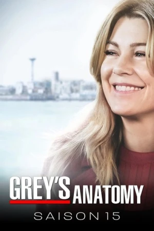 Regarder Grey's Anatomy - Saison 15 en streaming complet