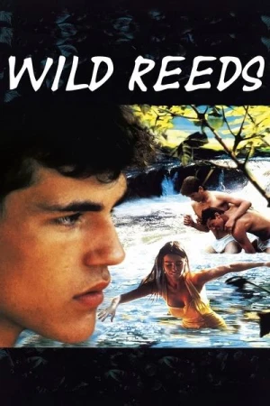 Regarder Les Roseaux sauvages en streaming complet