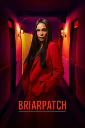 Briarpatch - Saison 1 affiche 