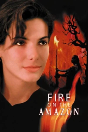 Regarder Fire on the Amazon en streaming complet