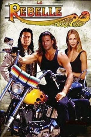 Regarder Le Rebelle - Saison 4 en streaming complet