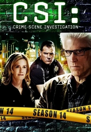  Les Experts - Saison 14 affiche 