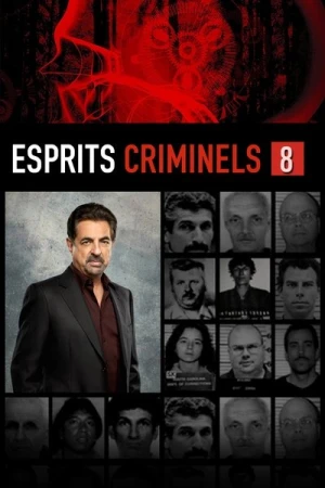 Regarder Esprits criminels - Saison 8 en streaming complet