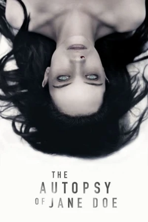 Regarder The Jane Doe Identity en streaming complet