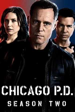 Regarder Chicago PD - Saison 2 en streaming complet