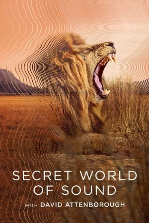  Le Monde Secret Du Son Avec David Attenborough - Saison 1 affiche 