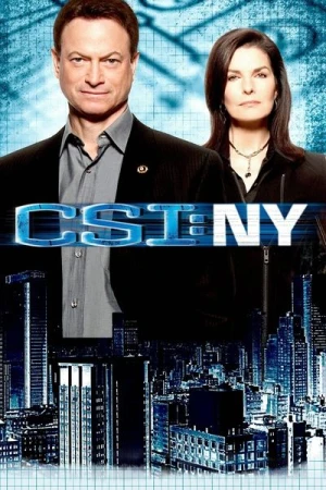  Les Experts : Manhattan - Saison 8 affiche 