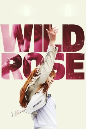 Regarder Wild Rose en streaming complet