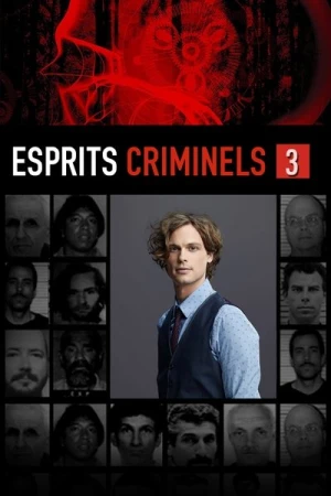  Esprits criminels - Saison 3 affiche 