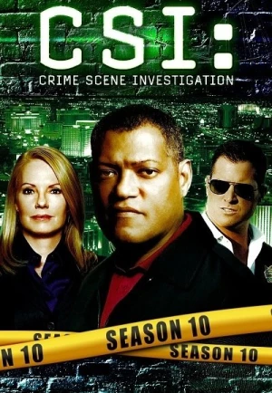  Les Experts - Saison 10 affiche 