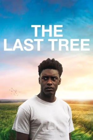 Regarder The Last Tree en streaming complet