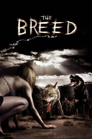 Regarder The Breed en streaming complet