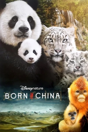 Regarder Nés en Chine en streaming complet