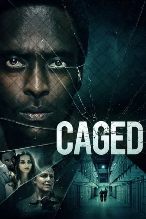  En cage affiche 