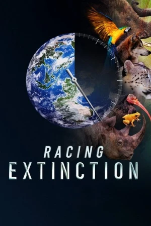 Regarder Racing Extinction en streaming complet