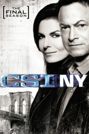  Les Experts : Manhattan - Saison 9 affiche 