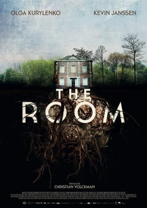 Regarder The Room en streaming complet