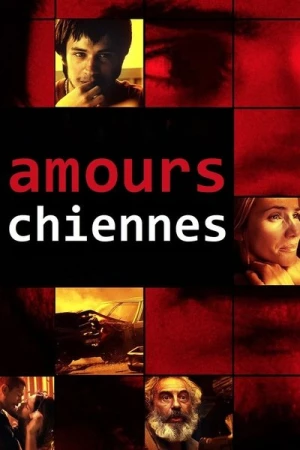 Regarder Amours chiennes en streaming complet