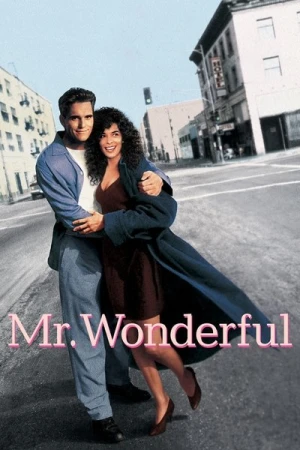 Regarder Mr. Wonderful en streaming complet