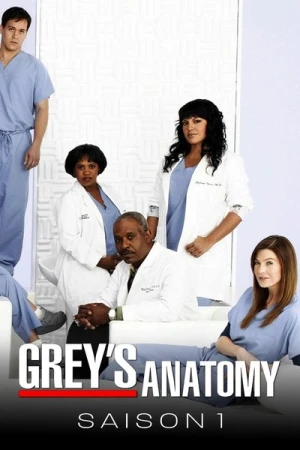  Grey's Anatomy - Saison 1 affiche 