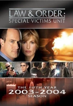  New York Unité Spéciale - Saison 5 affiche 