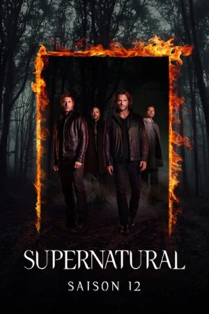 Regarder Supernatural - Saison 12 en streaming complet