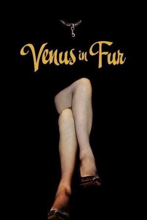 Regarder La Vénus à la fourrure en streaming complet