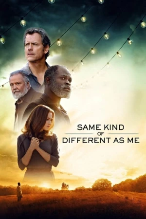 Regarder Ces différences qui nous rapprochent en streaming complet