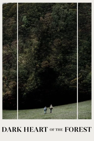 Regarder Le Cœur Noir des Forêts en streaming complet