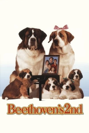Regarder Beethoven 2 en streaming complet