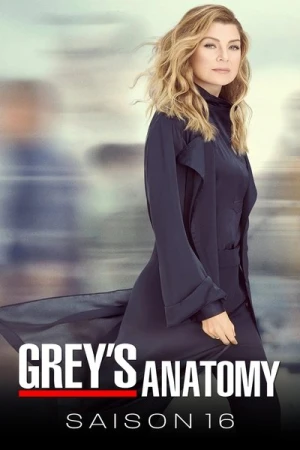 Regarder Grey's Anatomy - Saison 16 en streaming complet